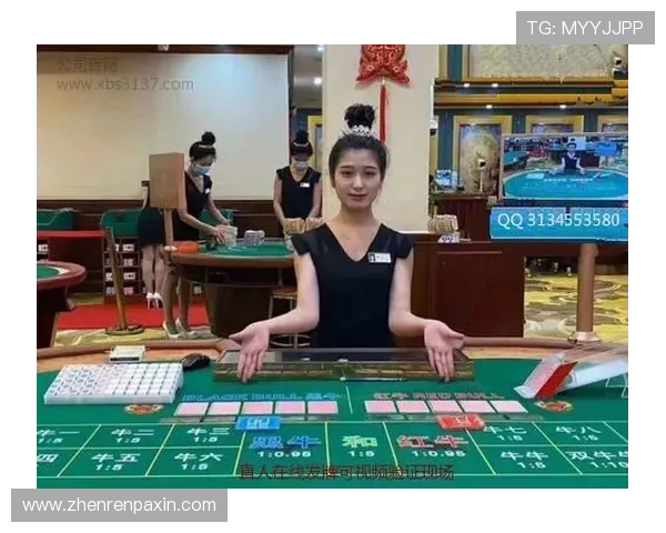 腾龙娱乐真人发牌线上线下同步体验打造全方位娱乐新体验